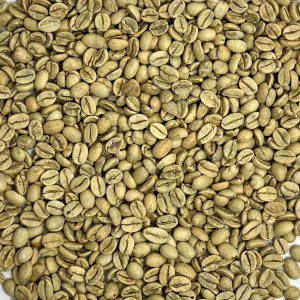 Monsooned Malabar AA