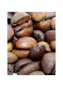 Roasted Coffee Beans Robusta